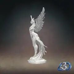 jpg_frame_24.jpg