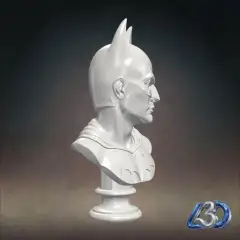 jpg_frame_20.jpg