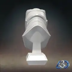 jpg_frame_08.jpg