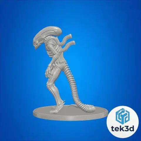 The Xenomorph: Ultimate Extraterrestrial Predator 3D Model