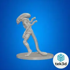 jpg_frame_00.jpg