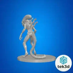 jpg_frame_04.jpg