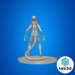 jpg_frame_08.jpg