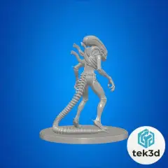 jpg_frame_12.jpg
