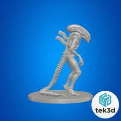 jpg_frame_16.jpg
