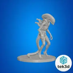 jpg_frame_20.jpg