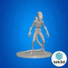 jpg_frame_24.jpg