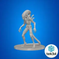 jpg_frame_28.jpg