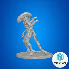 jpg_frame_32.jpg