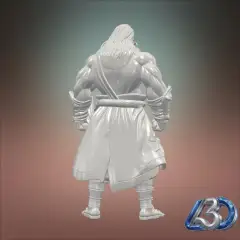 jpg_frame_12.jpg