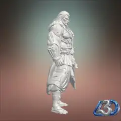 jpg_frame_20.jpg