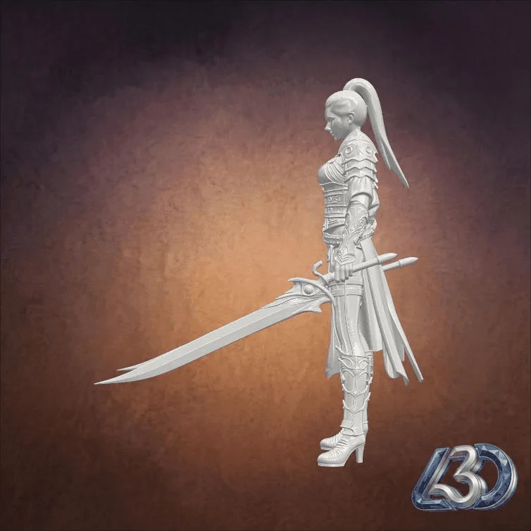 Dual Wield Assassin_y.gif