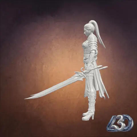 Dual Wield Assassin