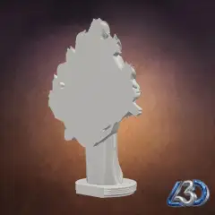 jpg_frame_12.jpg