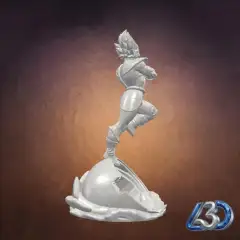 jpg_frame_12.jpg
