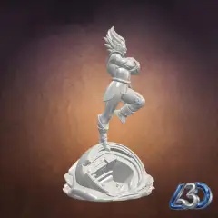 jpg_frame_16.jpg