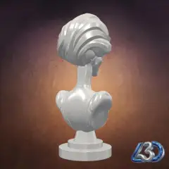 jpg_frame_12.jpg