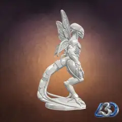 jpg_frame_25.jpg