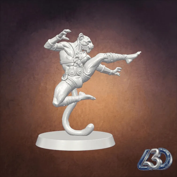 Tabaxi Monk Flying Kick_y.gif