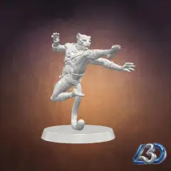 jpg_frame_05.jpg