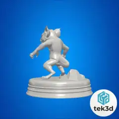 jpg_frame_04.jpg