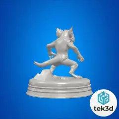 jpg_frame_12.jpg