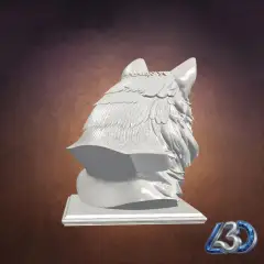 jpg_frame_25.jpg