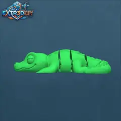 jpg_frame_00.jpg