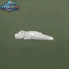 jpg_frame_05.jpg