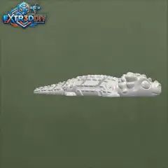 jpg_frame_20.jpg