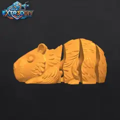 jpg_frame_00.jpg