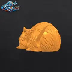 jpg_frame_05.jpg
