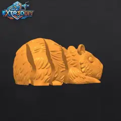 jpg_frame_15.jpg