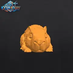 jpg_frame_25.jpg