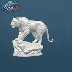 jpg_frame_05.jpg