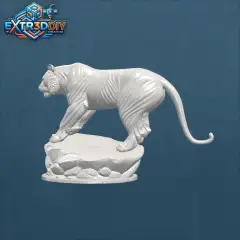 jpg_frame_10.jpg