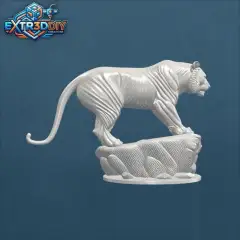 jpg_frame_25.jpg