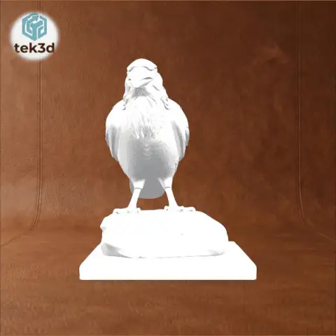 The Sentinel Raven: A Detailed Collectible 3D Model