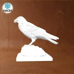 jpg_frame_08.jpg