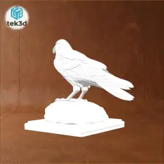 jpg_frame_12.jpg