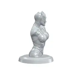 jpg_frame_16.jpg