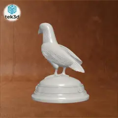 jpg_frame_04.jpg