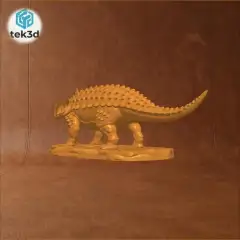 jpg_frame_04.jpg