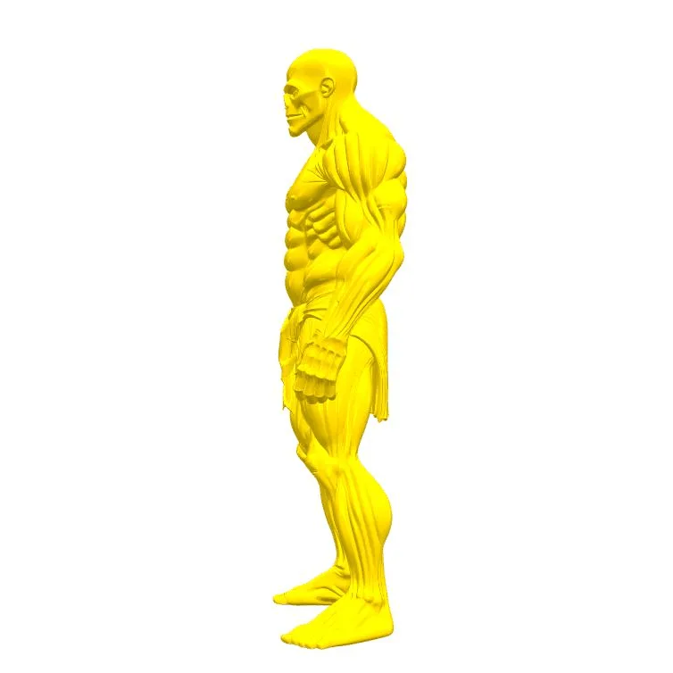 skeleton man_y.gif