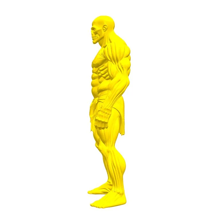 skeleton man_y.gif