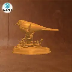 jpg_frame_00.jpg