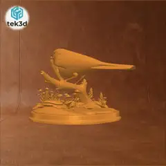 jpg_frame_04.jpg