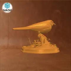 jpg_frame_16.jpg