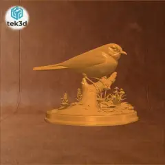 jpg_frame_20.jpg