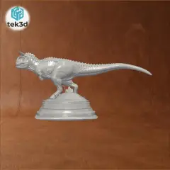 jpg_frame_08.jpg